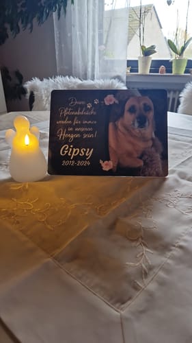 Customer photo review of Katzen Gedenktafel mit Foto & Spruch (UV- & Wetterfest)