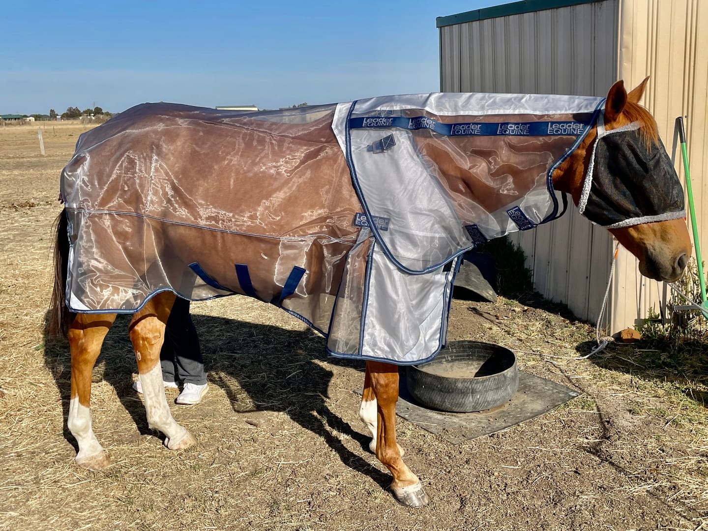 Customer photo review of LE Defender Anti-Insect Fly Rug