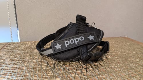 Customer photo review of FunFunPet 高機能ハーネス（お名前タグ作成サービス付き）