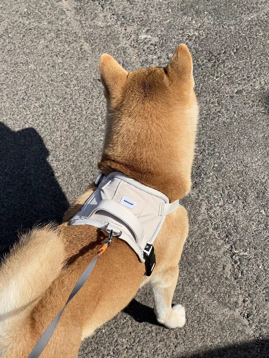Customer photo review of Valora 2-Second Easy-Fit Harness with Anti-Choke Position-Limit & Locator Pocket