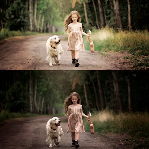 Customer photo review of The Complete Photoshop and Lightroom Bundle Only $40 With Code: SAVE60