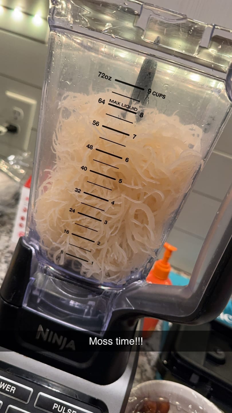 Customer photo review of Irish Sea moss