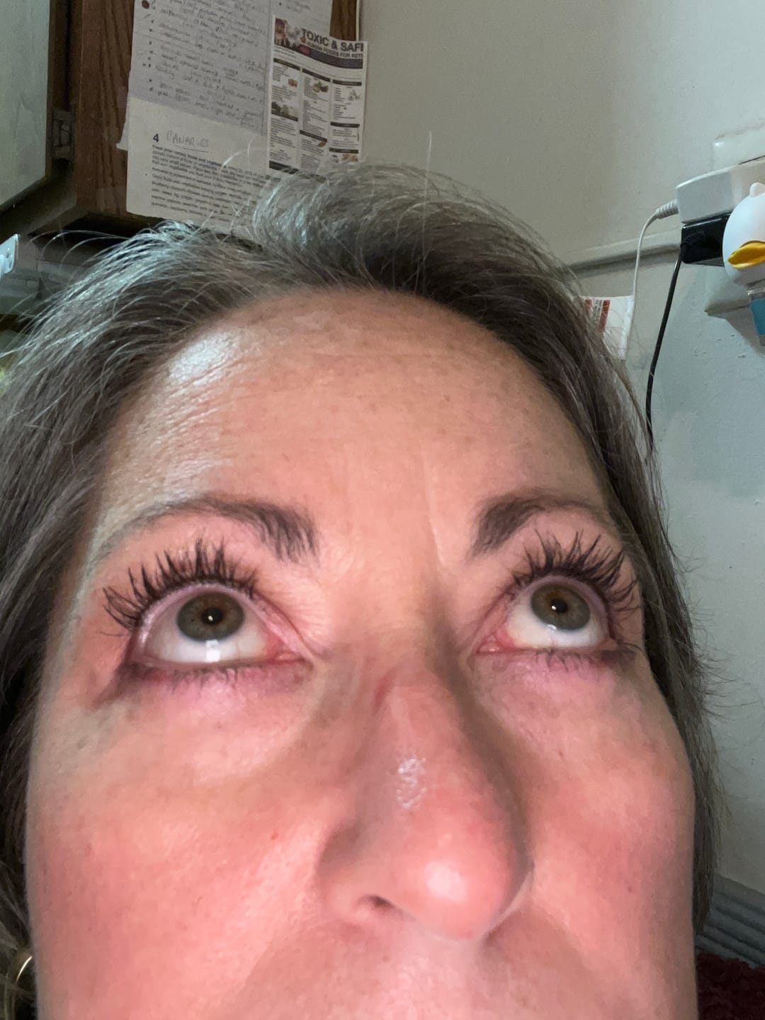 Customer photo review of EYELASH GROWTH SOLUTION