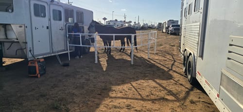 Customer photo review of Heavy-Duty Electric Ready-Made Corral (10 Panels; 2 Rails)