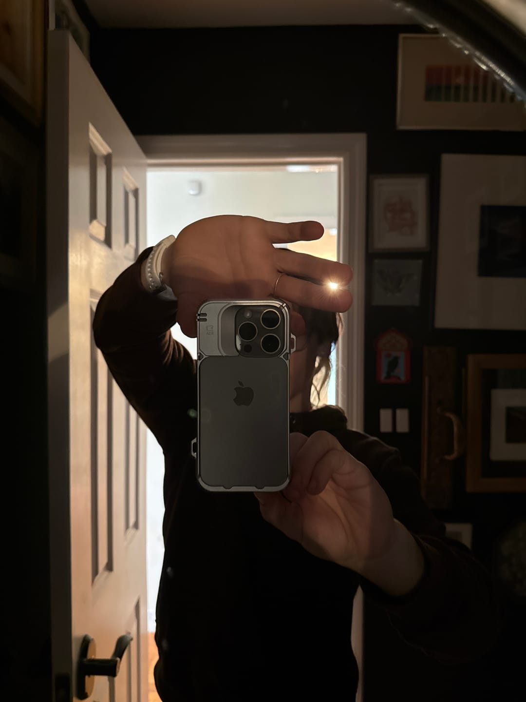 Customer photo review of DANGO COVERT CASE FOR IPHONE 16 PRO