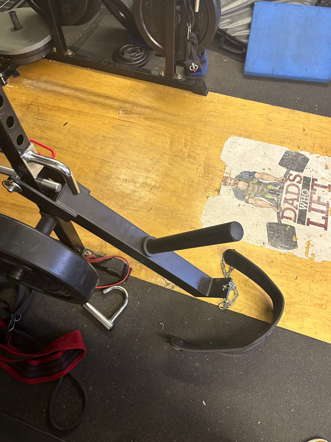 Customer photo review of Revolt Belt Squat