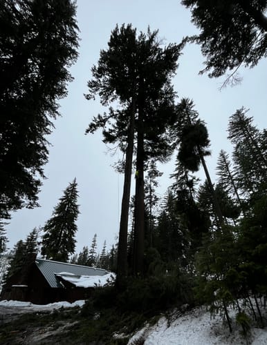 Customer photo review of Flaggers HVSA CSA Z96-15 Hurricane Rain Jacket