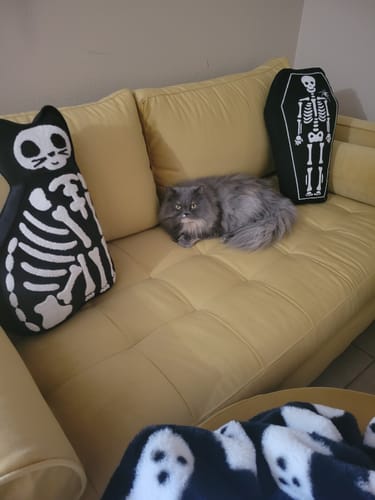 Customer photo review of Ladybird Loveseat
