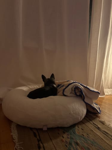 Customer photo review of Sourdough Cover for Pudding Beds