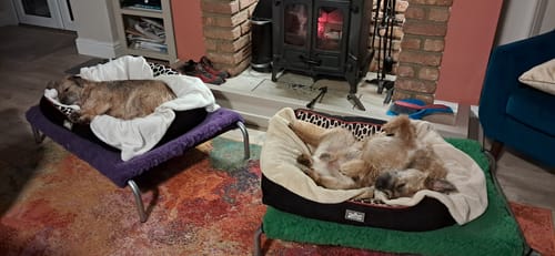 Customer photo review of Purple Cosy Sleeve