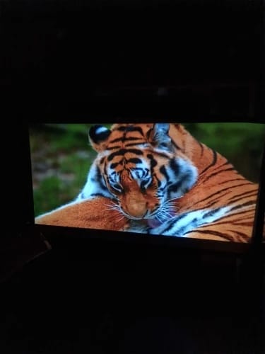 Customer photo review of Magcubic Projector 4K Android 11 HY300 Pro Wifi6 260ANSI Allwinner H713 BT5.0 1080P 1280*720P Cinema Outdoor Portable Projetors