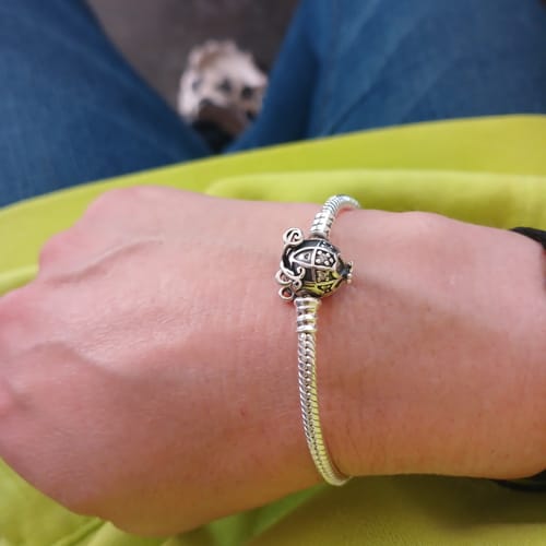 Customer photo review of Pulsera Carroza de Calabaza Plateada