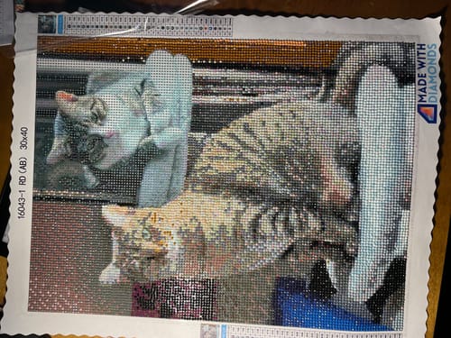 Customer photo review of Made with Diamonds® Custom Kit