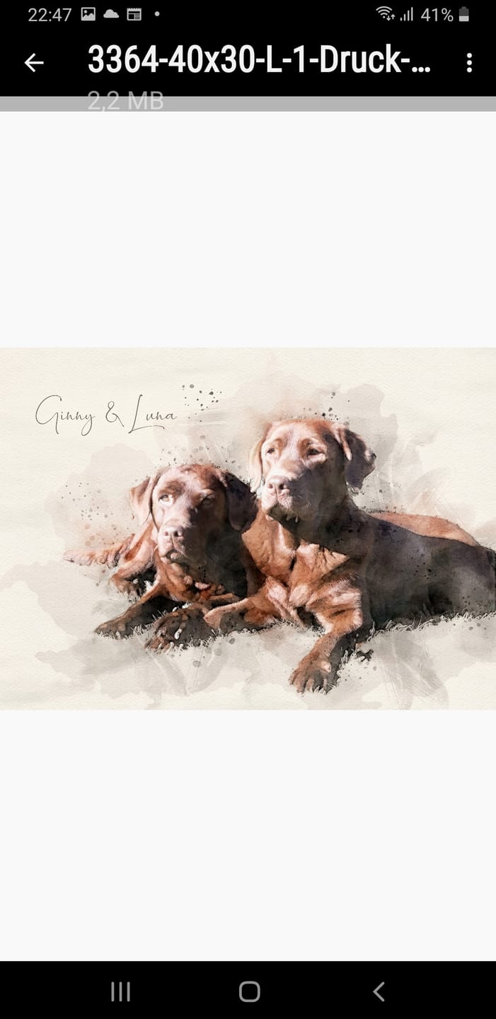 Customer photo review of Hundeportrait nach Foto