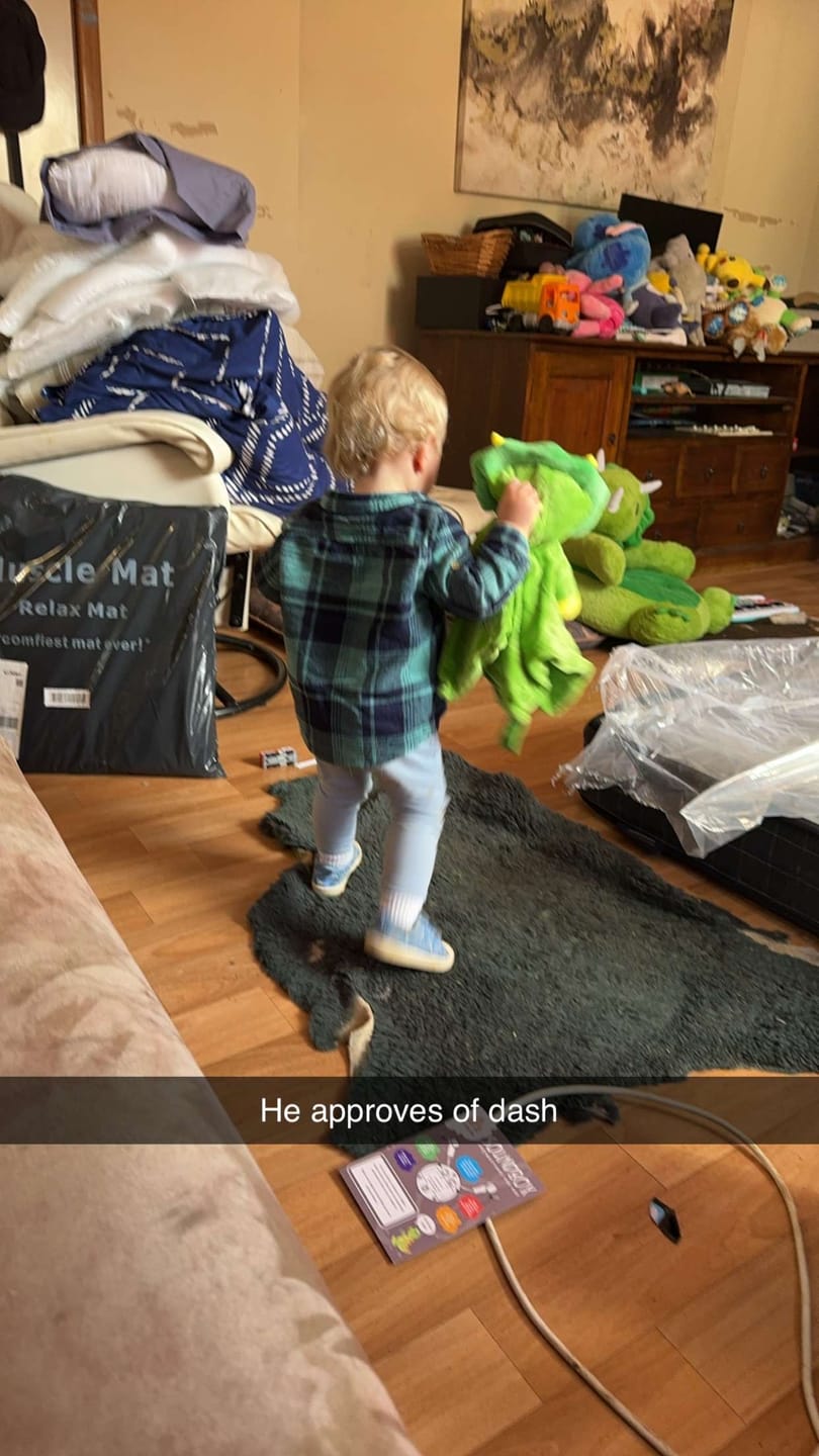 Customer photo review of Dash the Dinosaur
