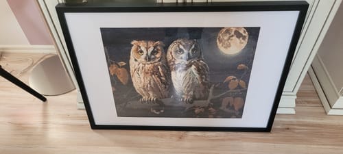 Customer photo review of 5D Diamond Painting Eulen In Mondschein