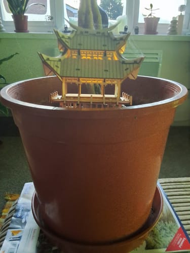 Customer photo review of Temple of Gratitude