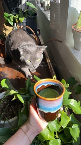 Customer photo review of Monsoon Cup