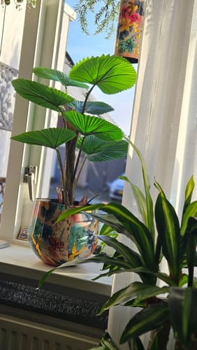 Customer photo review of Kunst Waaierpalm 75cm
