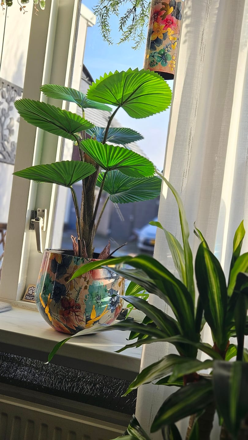 Customer photo review of Kunst Waaierpalm 75cm