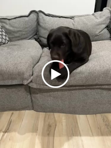 Customer video review of MIX FLAVORED CHEWS ( A PACK OF 6 STICKS )