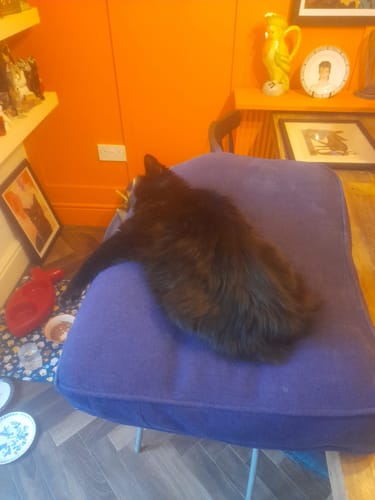 Customer photo review of Fabric Paint -- Purple