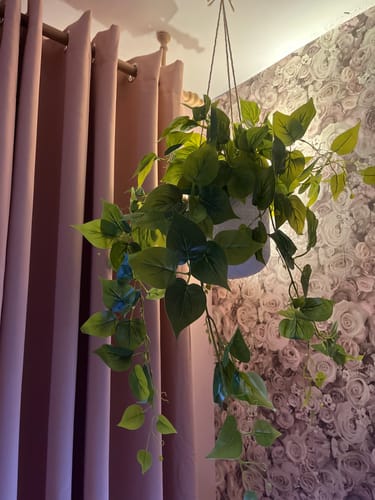 Customer photo review of Kunst Hangplant Lichtroze 2st. 70cm