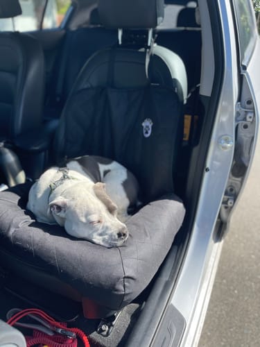 Customer photo review of Car Seat Cover