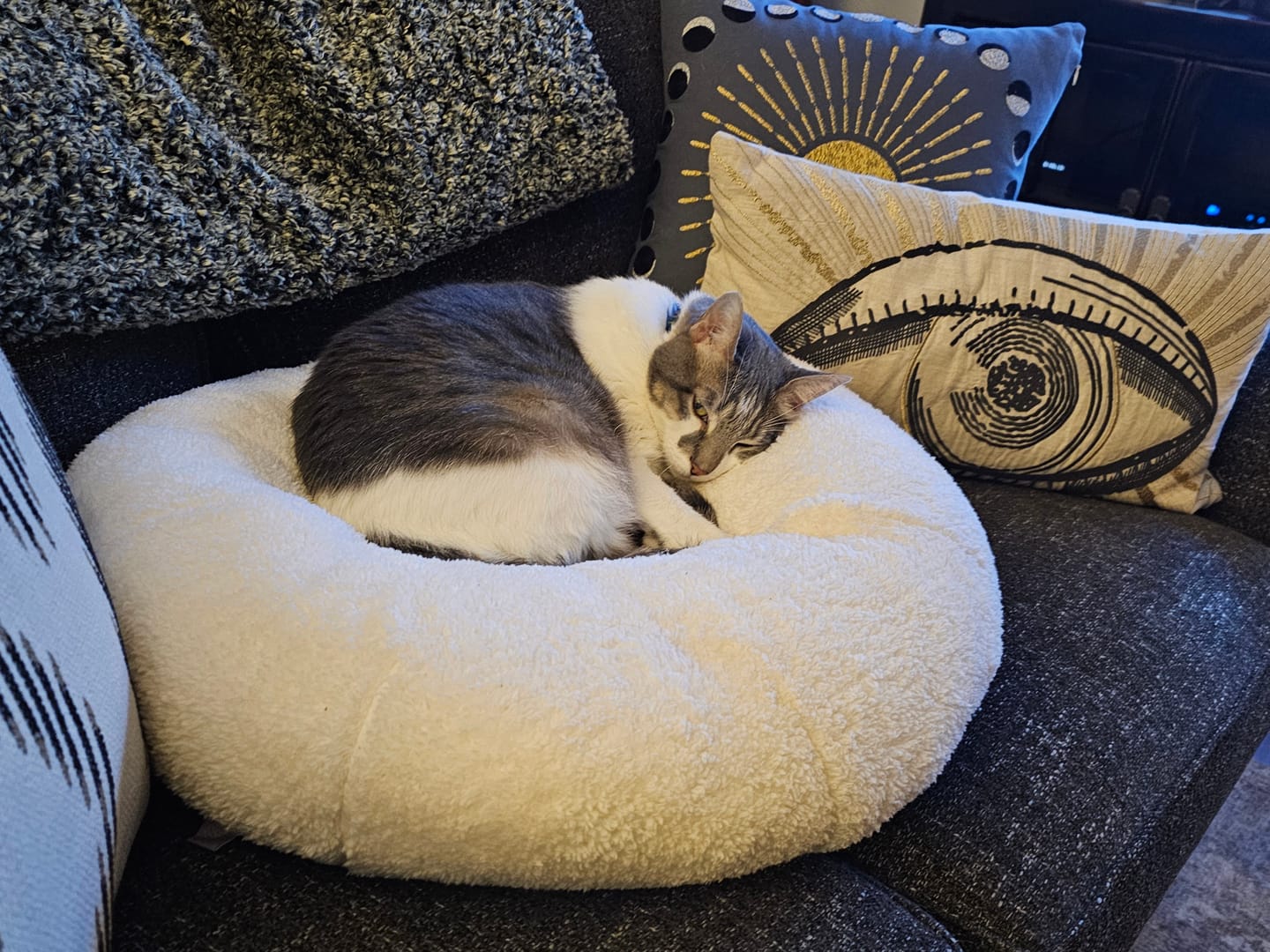 Customer photo review of Little Summer Blanket