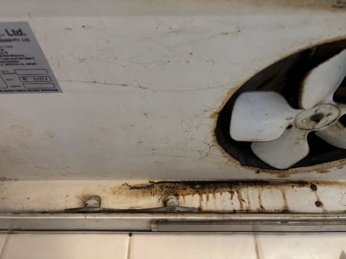 Customer photo review of SHYN Grime Lifter