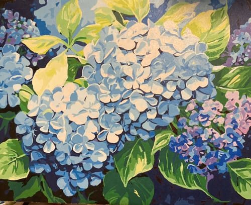 Customer photo review of Blue Hydrangea