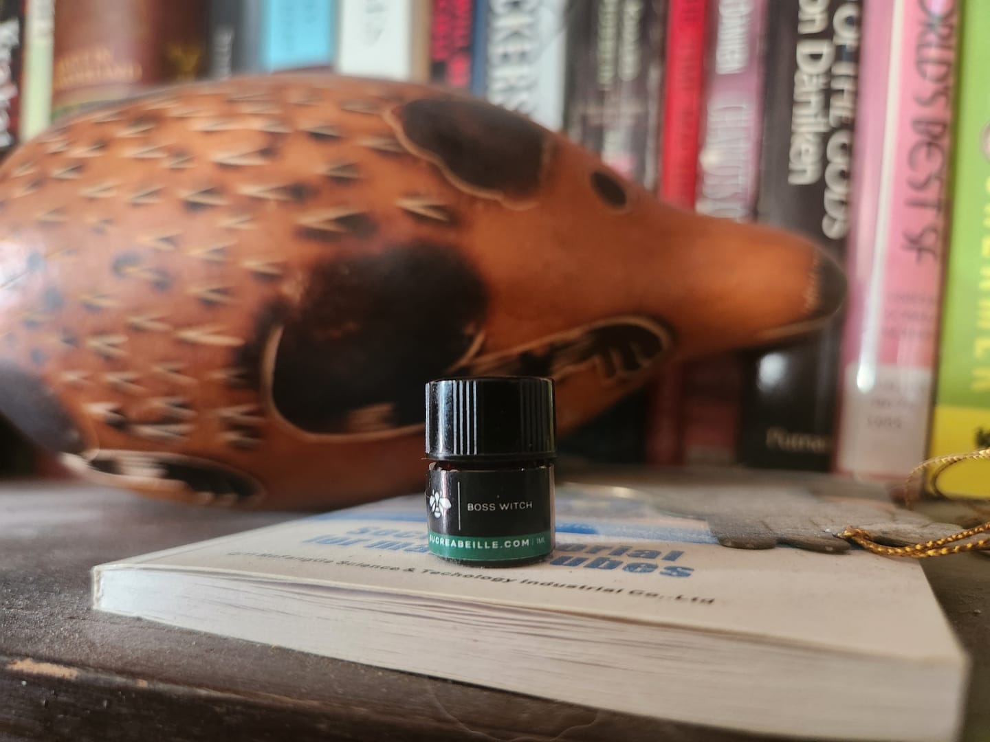 Customer photo review of Boss Witch