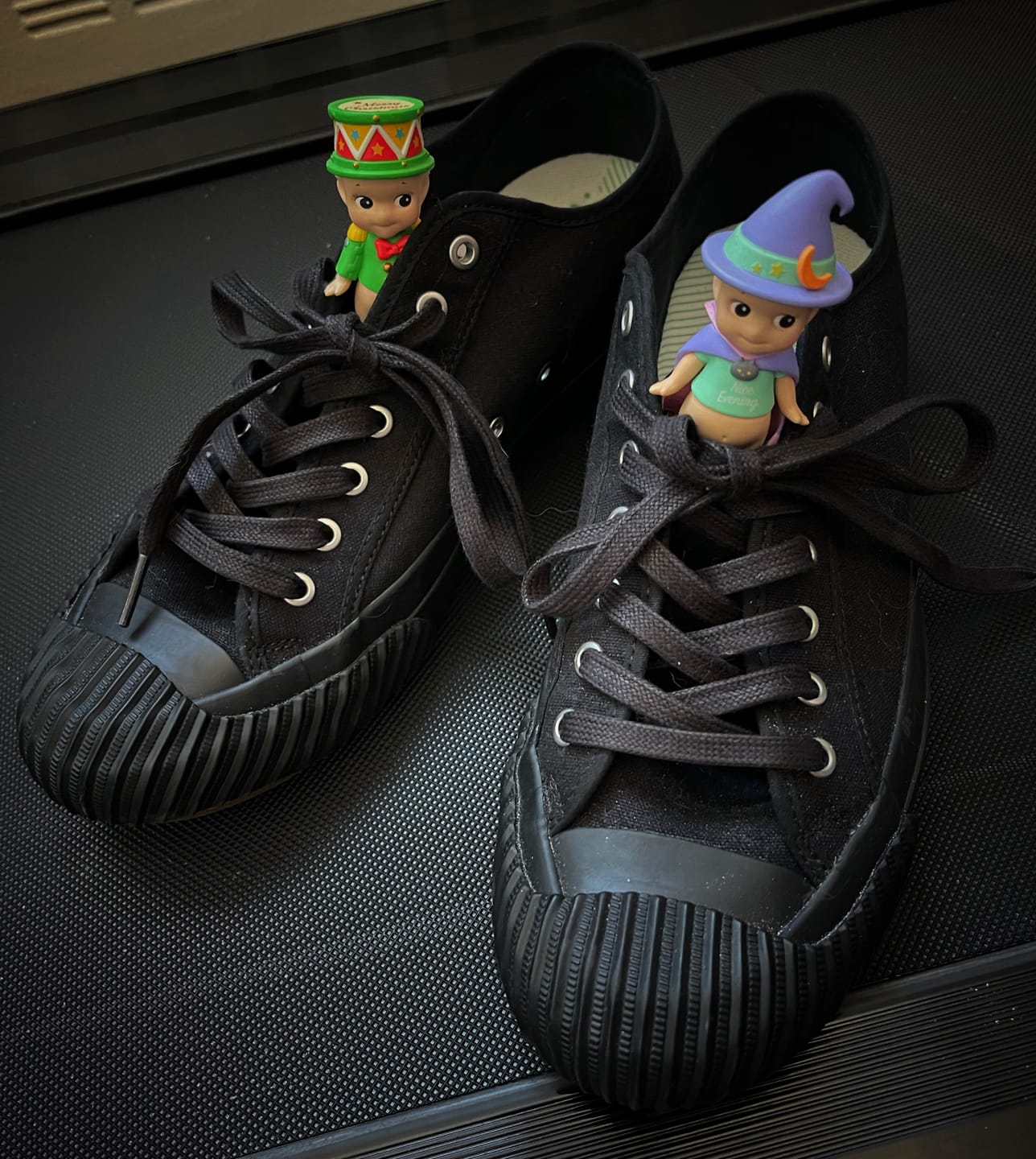 Customer photo review of Grounder Lo