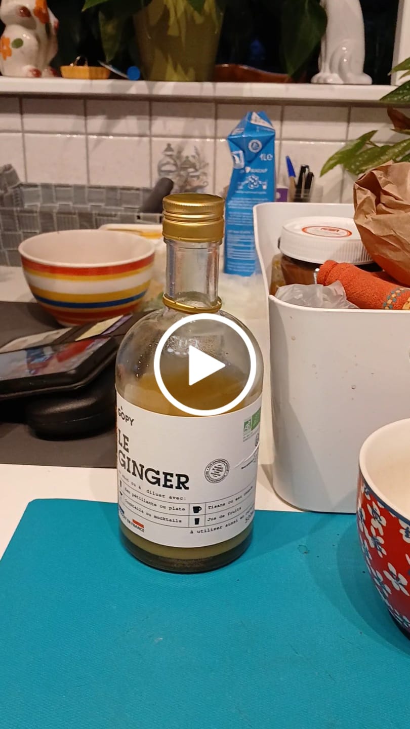 Customer video review of Le Ginger Gopy 500ML BIO