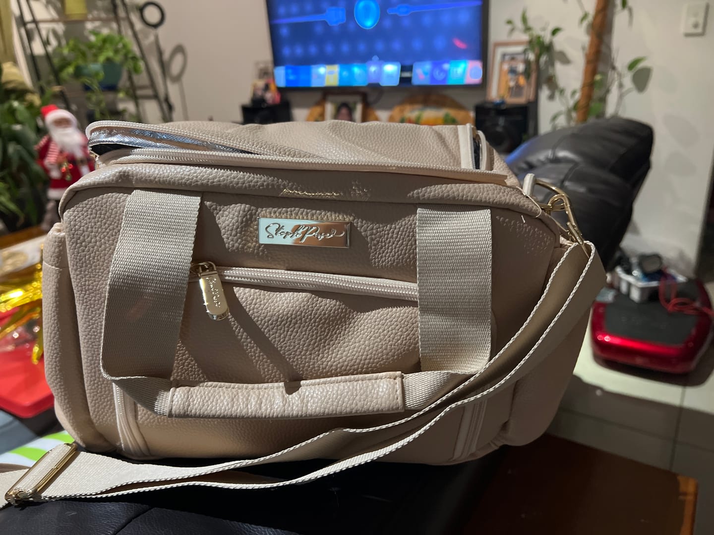 Customer photo review of Luxe Insulated Lunch Bag - Beige