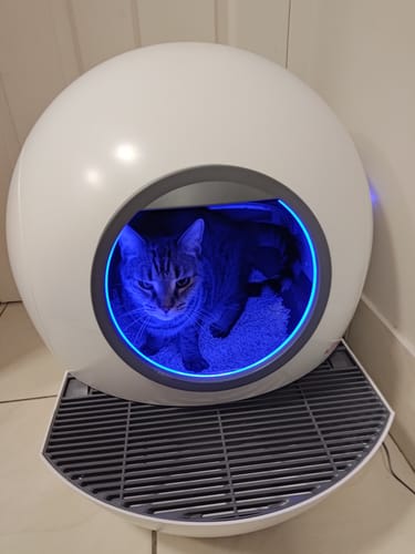 Customer photo review of PaWz Automatic Smart Cat Litter Box Self-Cleaning