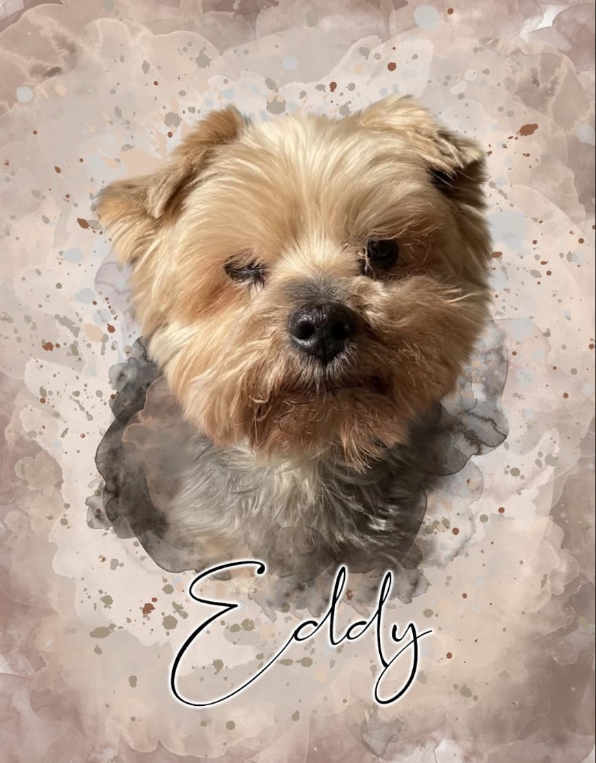 Customer photo review of Portrait Aqua Art