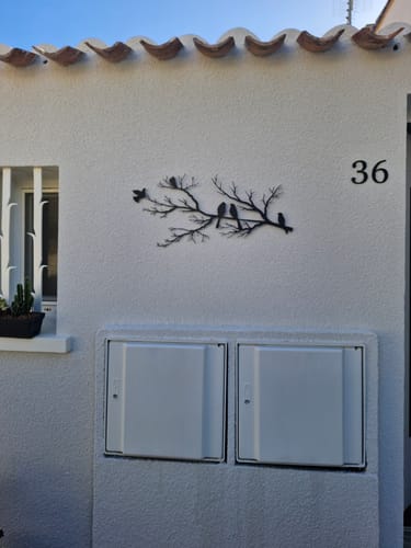 Customer photo review of Oiseaux sur branche - 2