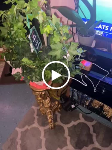 Customer video review of PlantWave – Replacement