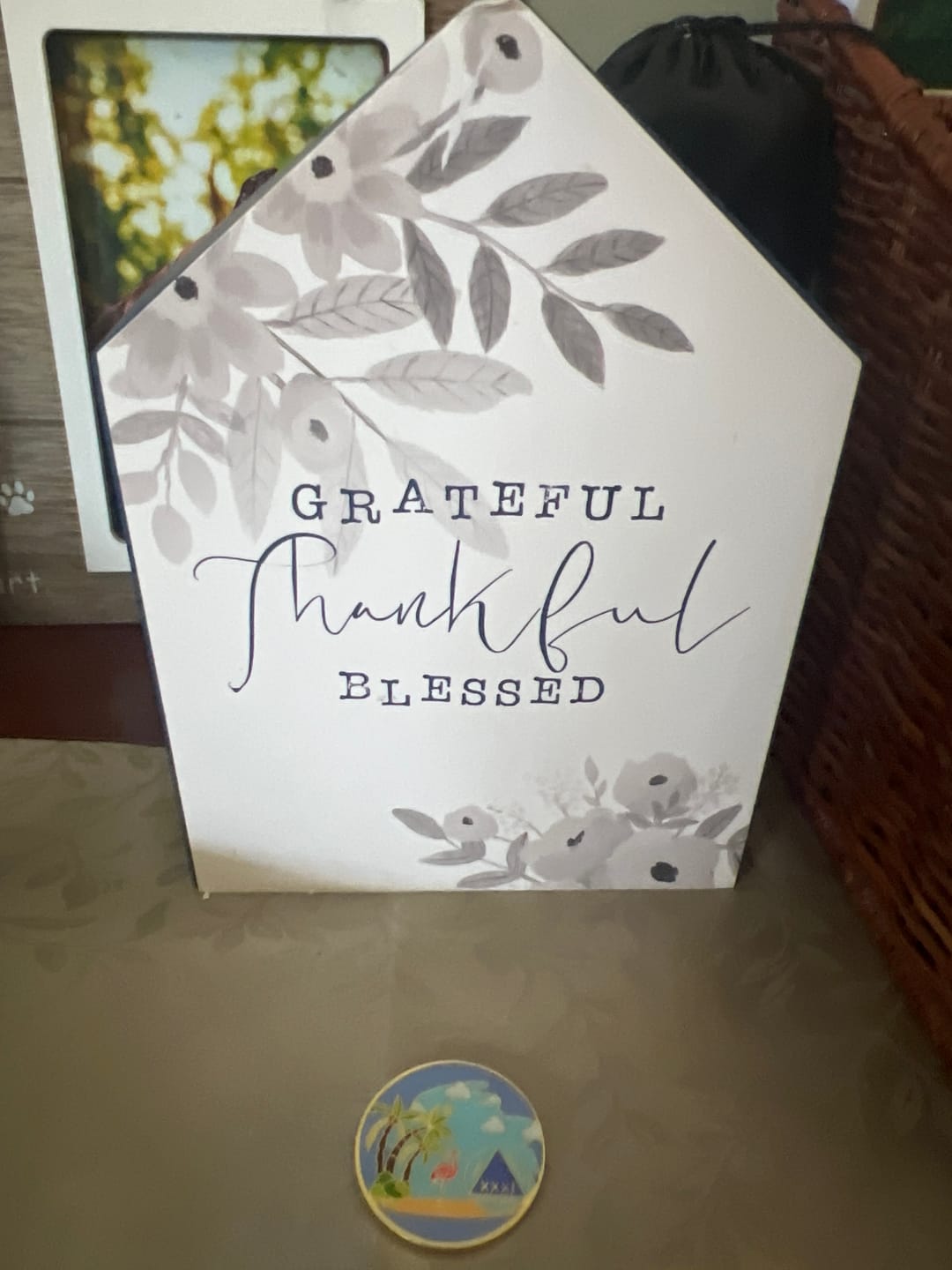 Customer photo review of 31 Year Beach Themed Specialty Tri-Plated AA Recovery Medallion - Thirty One Year Chip/Coin