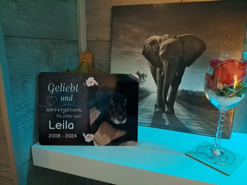 Customer photo review of Hunde Gedenktafel mit Foto & Spruch (UV- & Wetterfest)