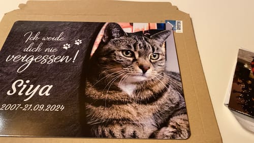 Customer photo review of Katzen Gedenktafel mit Foto & Spruch (UV- & Wetterfest)