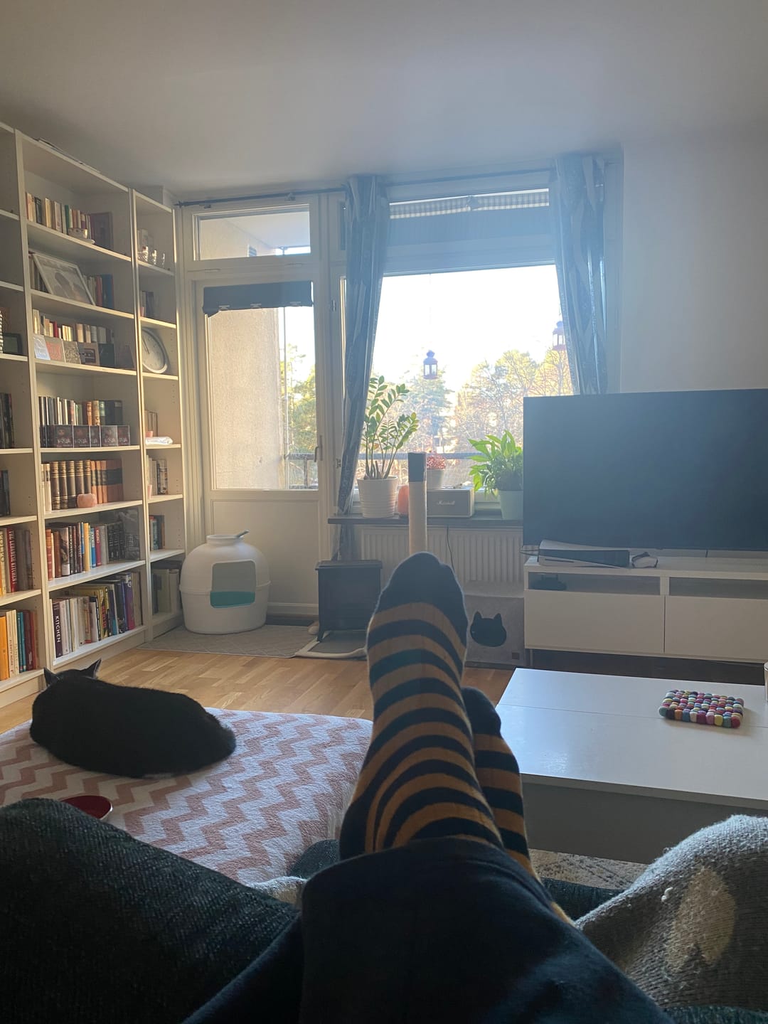 Customer photo review of Retro Striped Cotton Socks - Black/Orange