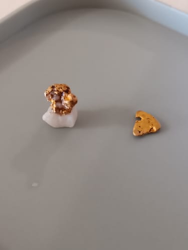 Customer photo review of Signal Gold Prospecting Maps