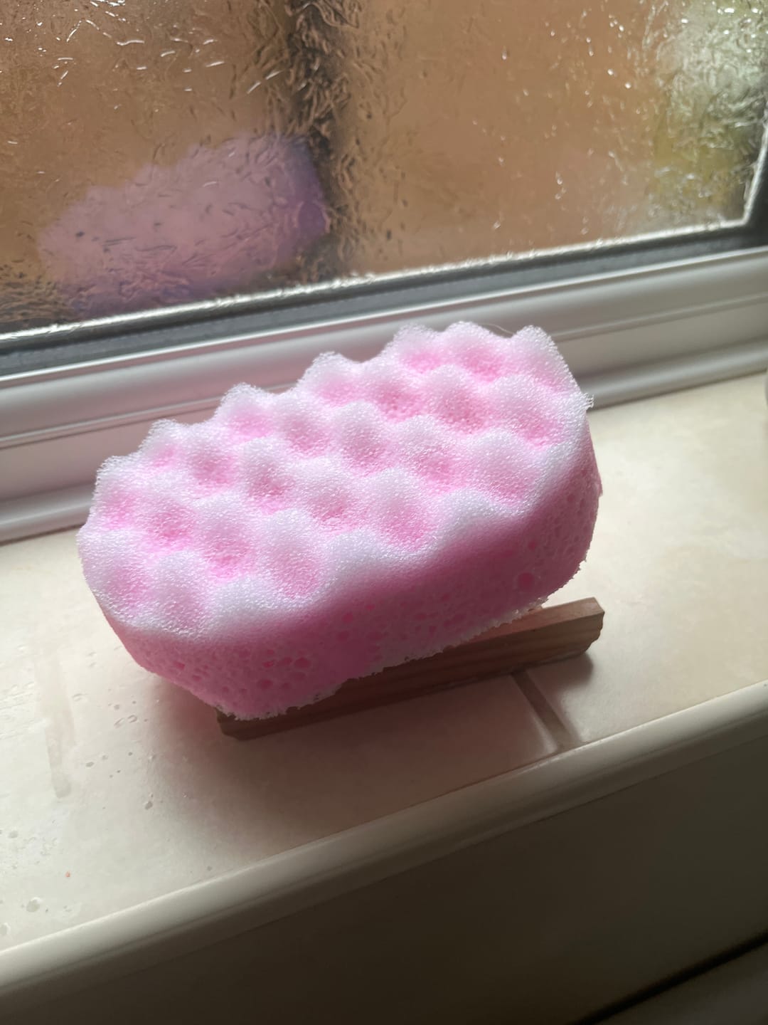 Customer photo review of Snow Fairies (Ice Queen) Soap Sponge