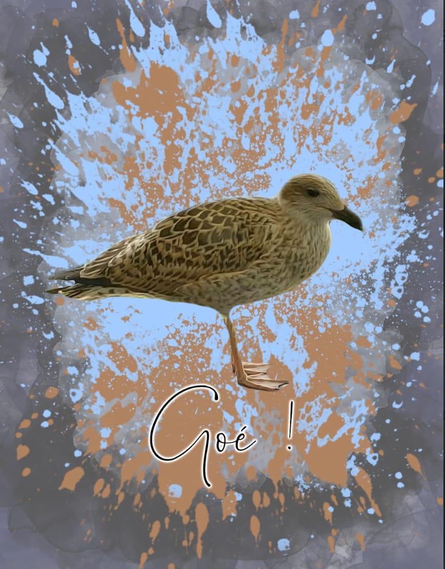 Customer photo review of Portrait Aqua Art
