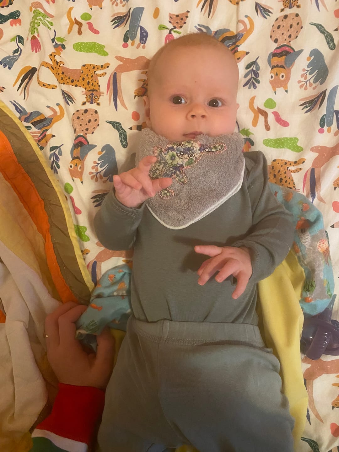 Customer photo review of Baby Bodysuit, Long Sleeve, Merino Wool, Sage