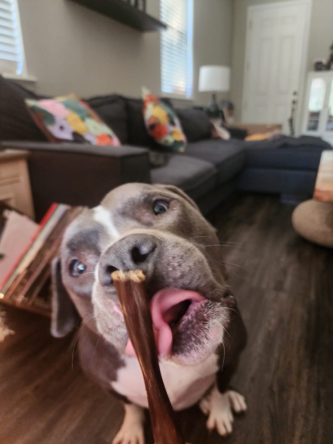 Customer photo review of 6 Inch Beef Jerky Stick