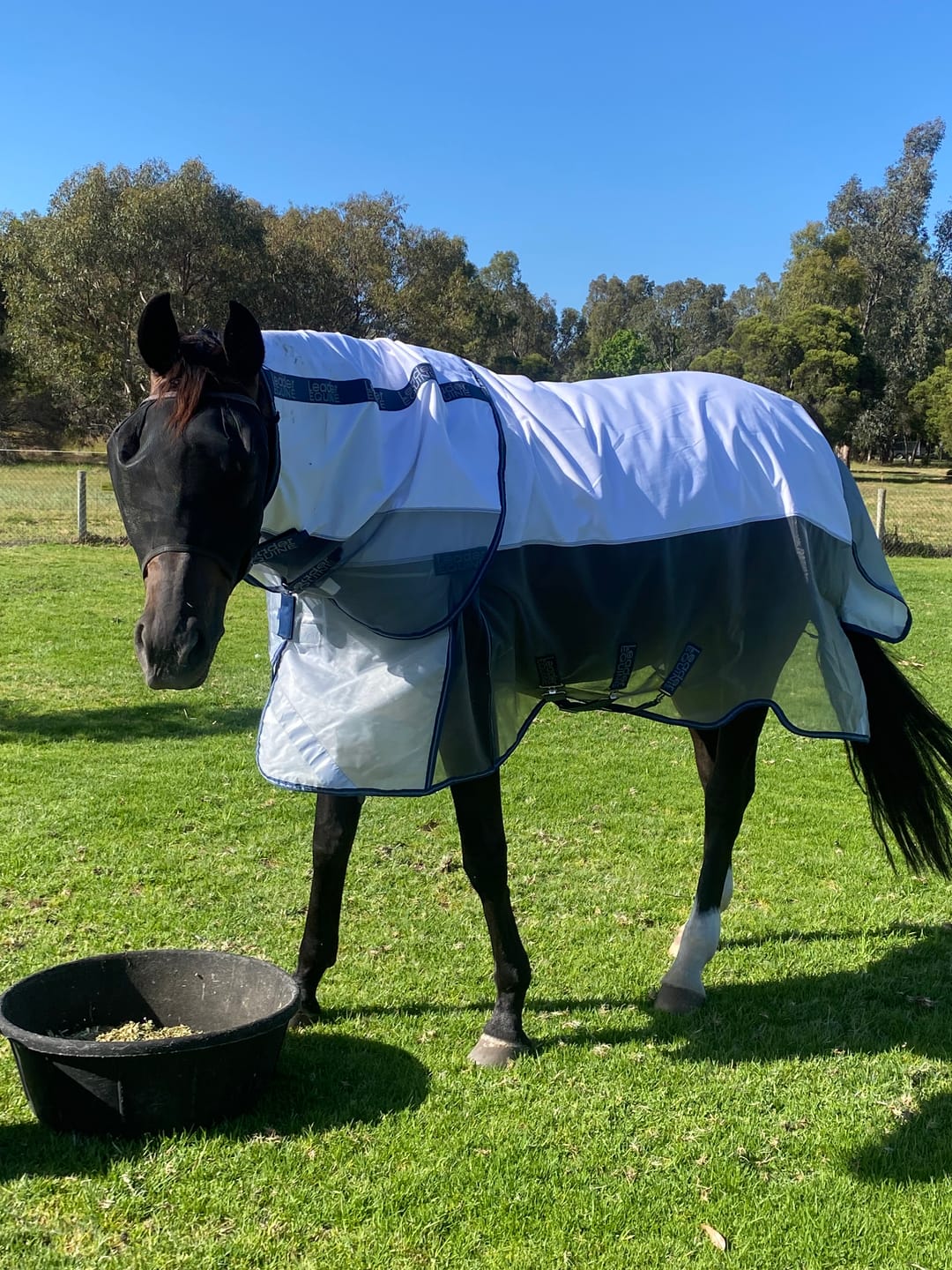 Customer photo review of LE Breeze Summer Sheet with Fieldsafe Front