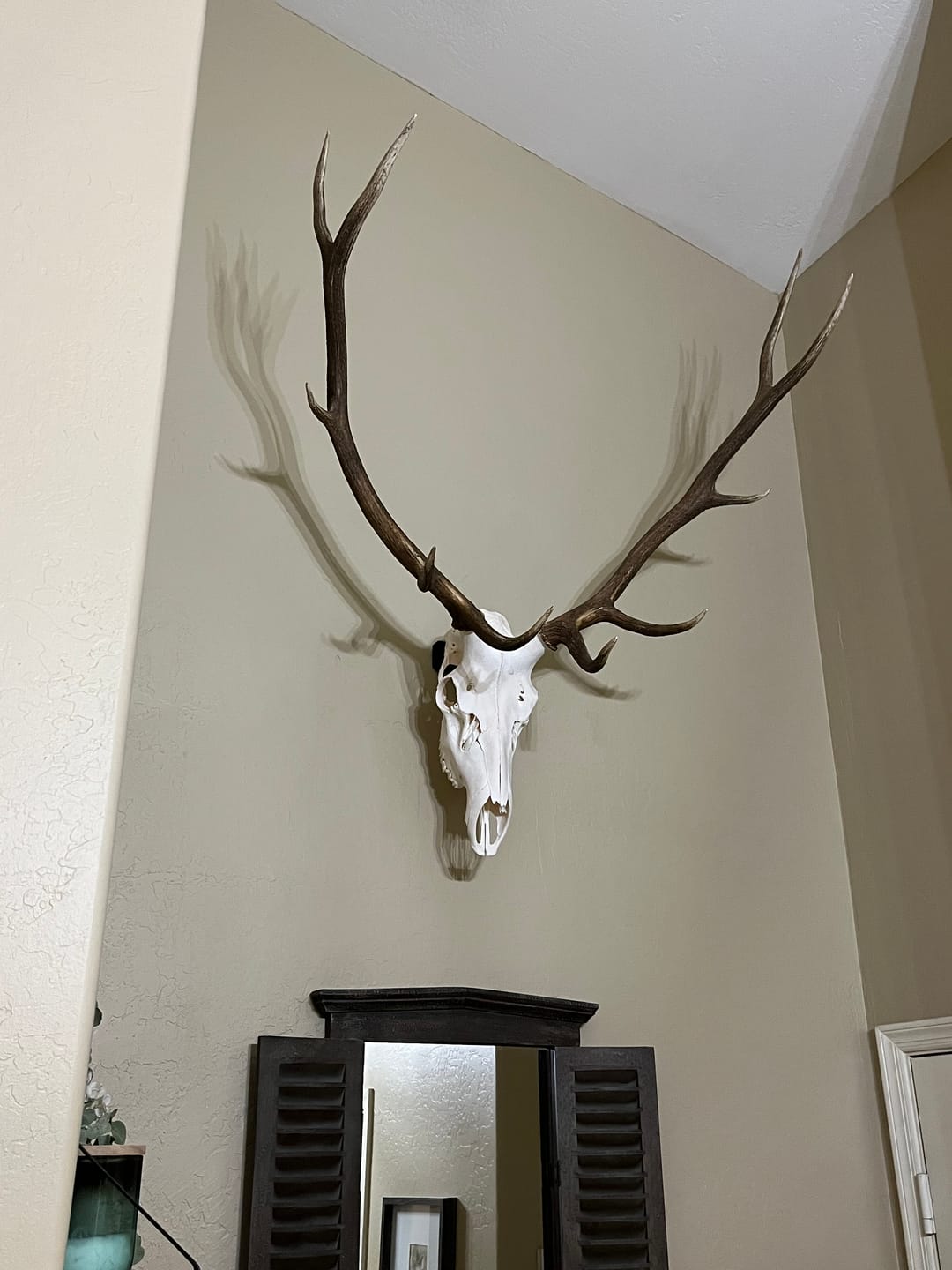 Customer photo review of SkulLok | Large Game